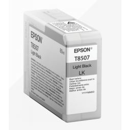 Epson Light Black Ink Cartridge C13T850700