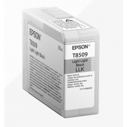 Epson Light Light Black Ink Cartridge C13T850900