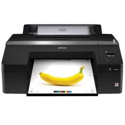Epson SCP5000 Violet 240V A2 LFP Printer