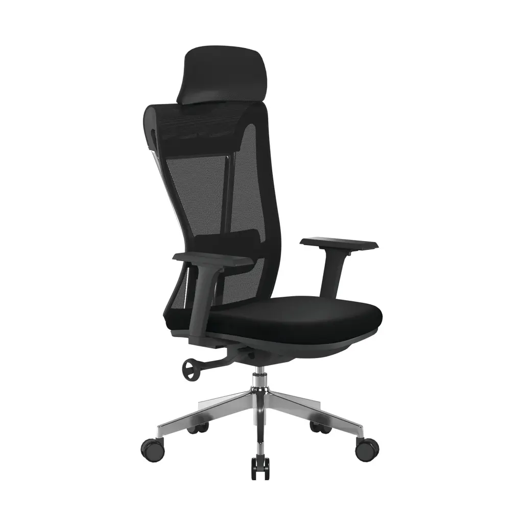 Nautilus Designs Moritz High Back Mesh Ergonomic Executive Chair With Adjustable Arms & Headrest Black - Certified for 24 Hour Use - BCM/M355/BK