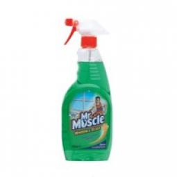 Mr Muscle Window and Glass Cleaner (750ml)