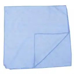 PRO Microfibre Cleaning Cloths Pack of 10 200gm Blue
