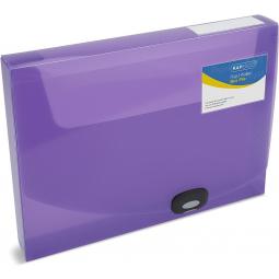 Rapesco 40mm Rigid Wallet Box File A4 Assorted Colours Pack 5