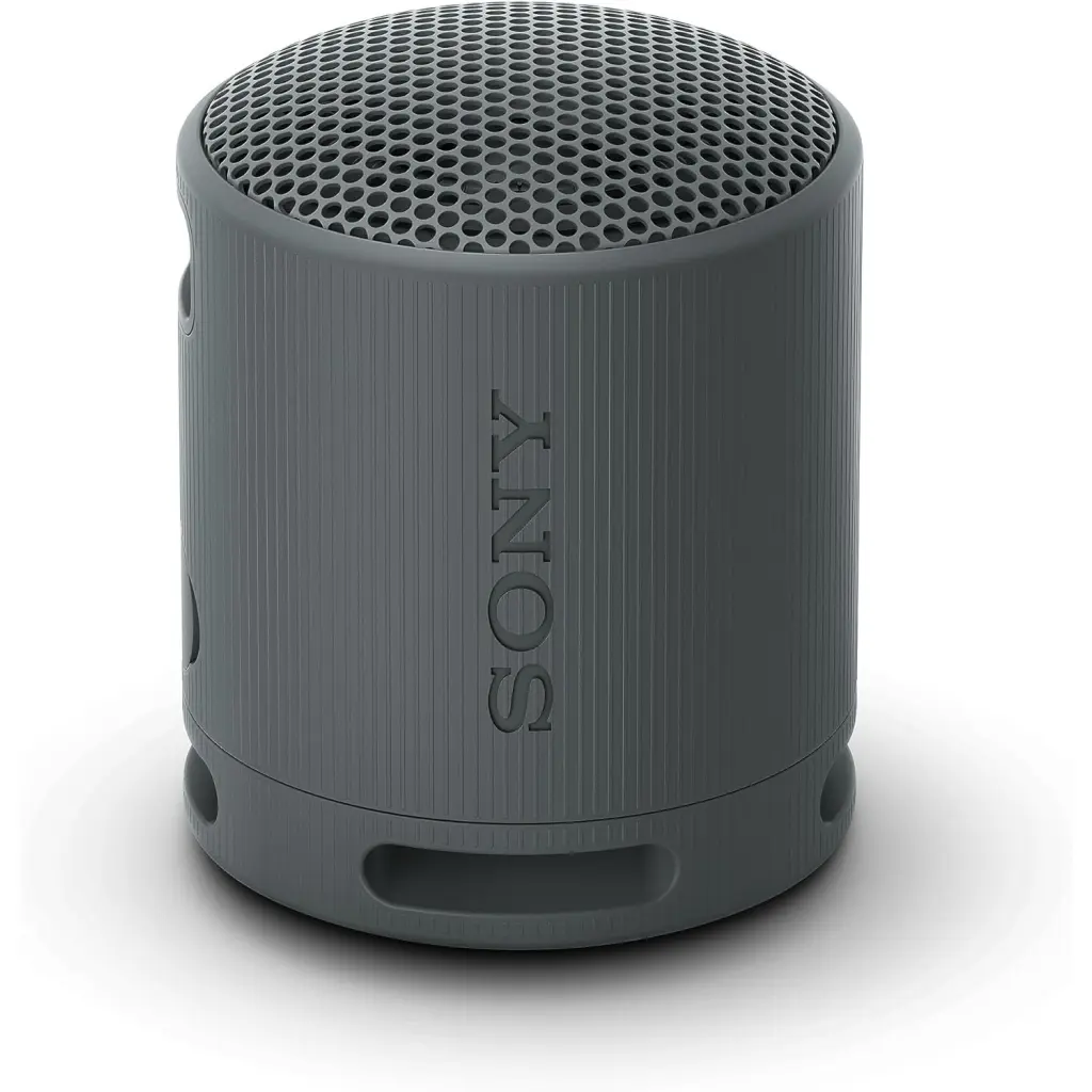 Sony SRS-XB100 Wireless Bluetooth Portable Speaker