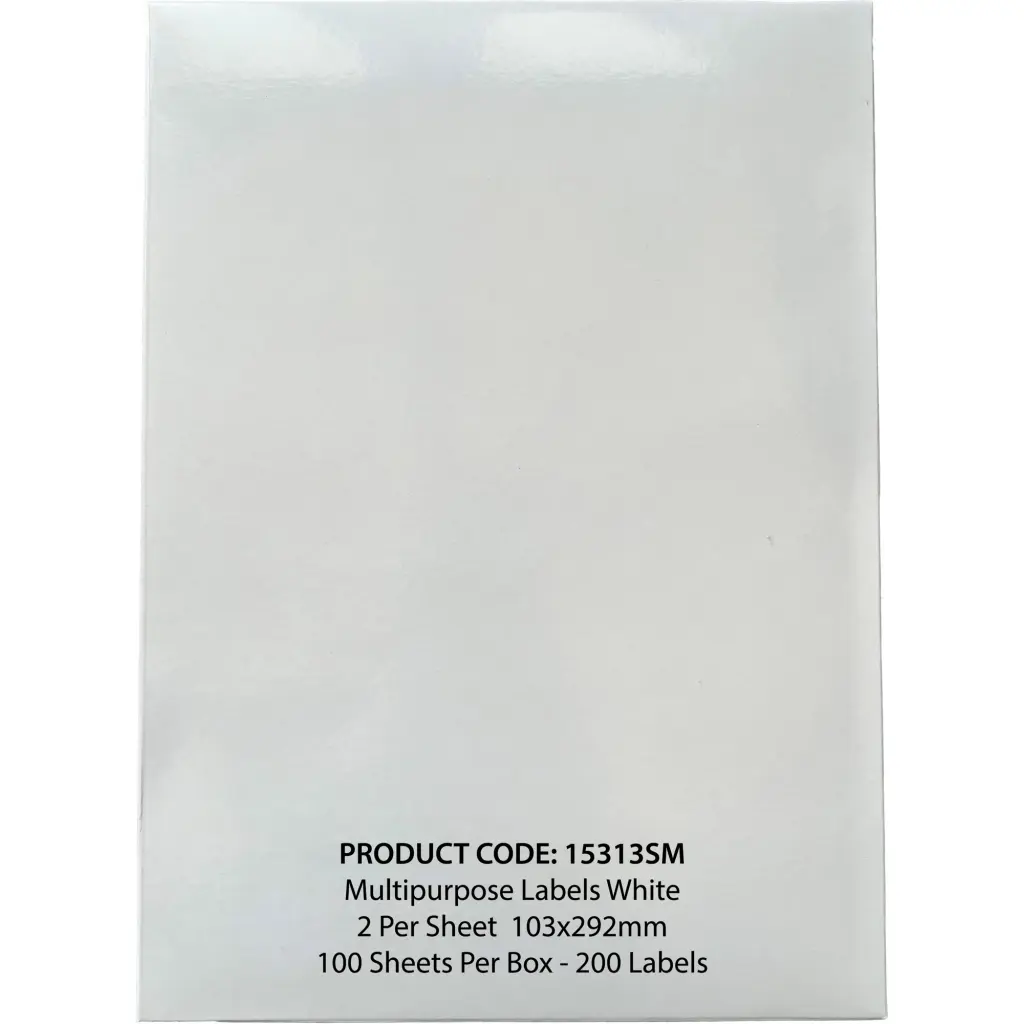 ValueX A4 Multipurpose Label 2 per Sheet Pack of 100 103 x 292mm