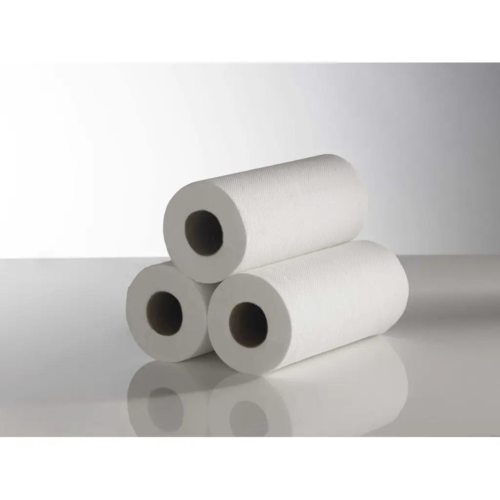 ValueX Hygiene Couch Rolls 2 Ply 250mm x 40m 100% Recycled White (Pack 24) - HRW2440R
