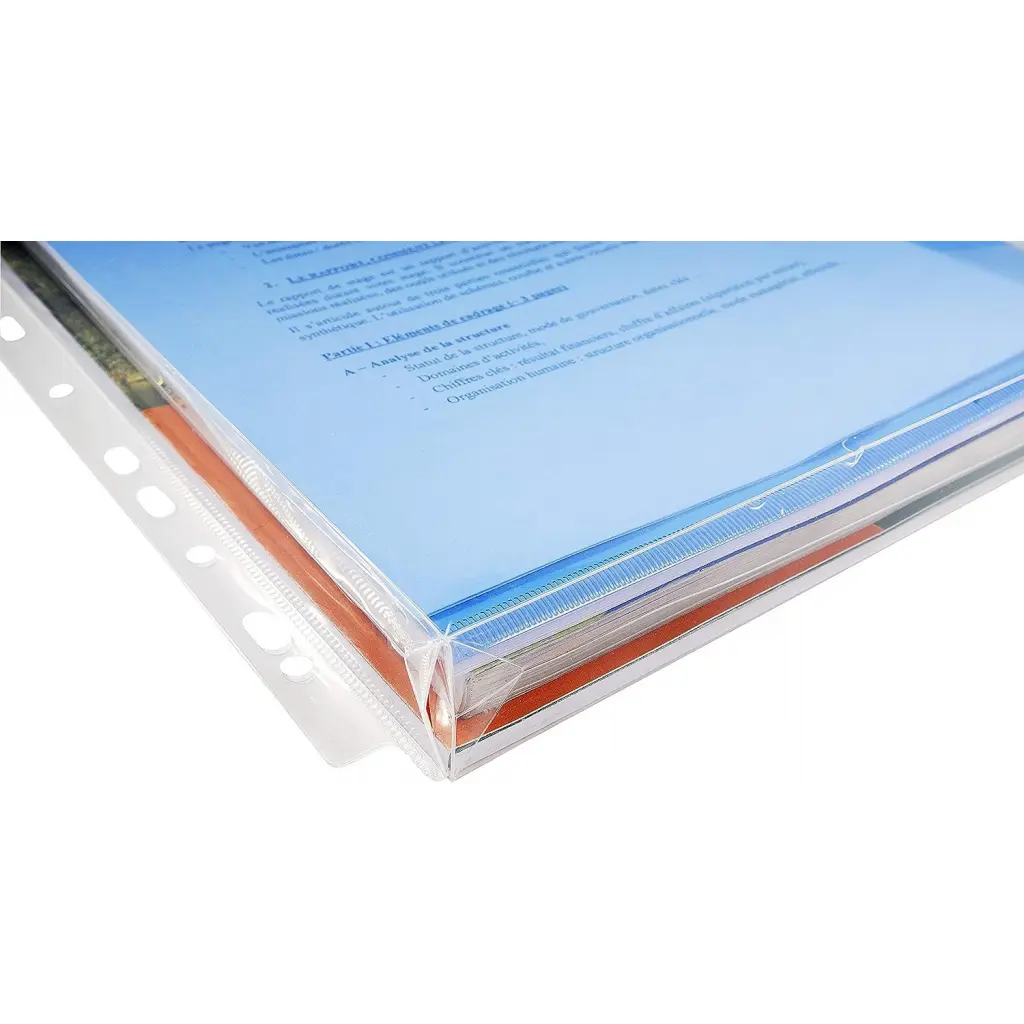 Exacompta Expanding Punched Pockets With Flap A4 Clear (Pack 10) - 5503E