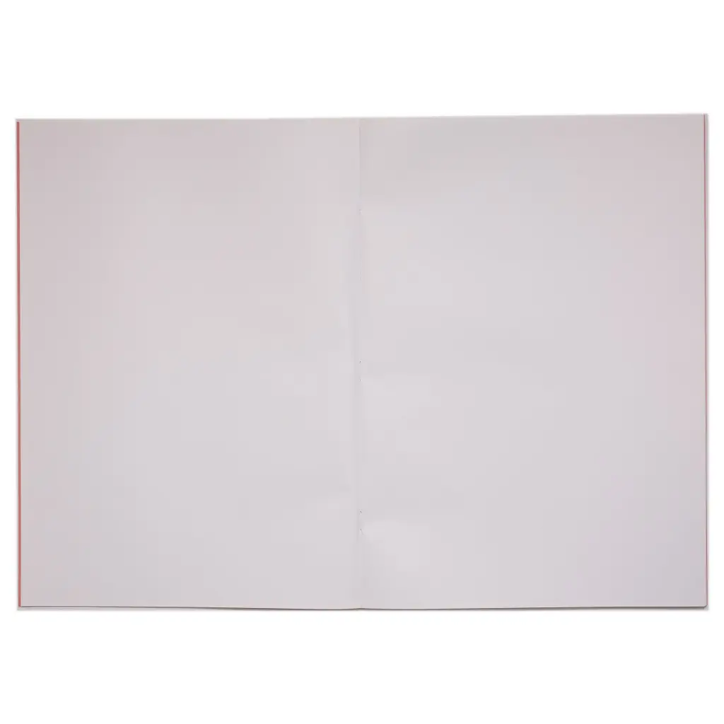 Rhino 13 x 9 A4+ Oversized Exercise Book 40 Page Plain Light Blue (Pack 100) - VDU024-49-6