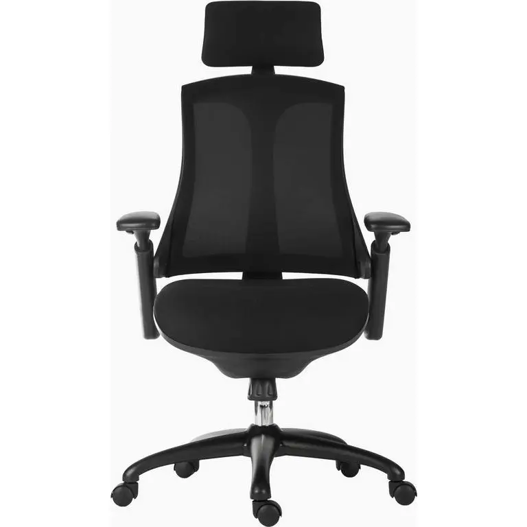 Rapport Mesh Back Executive Office Chair with Black 6964BLK