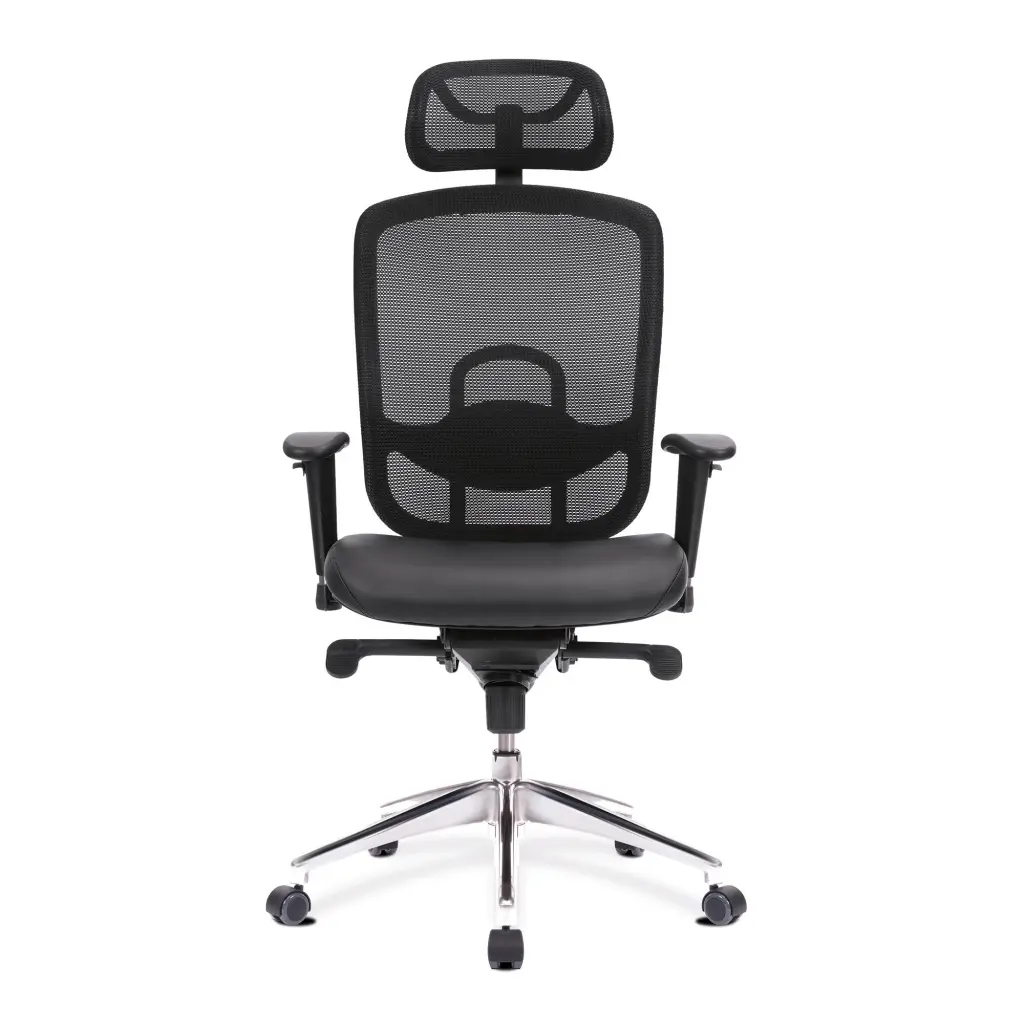 Nautilus Designs Liberty High Back Mesh Executive Office Chair With Adjustable Headrest and Height Adjustable Arms Black - DPA80HBSY/AHR