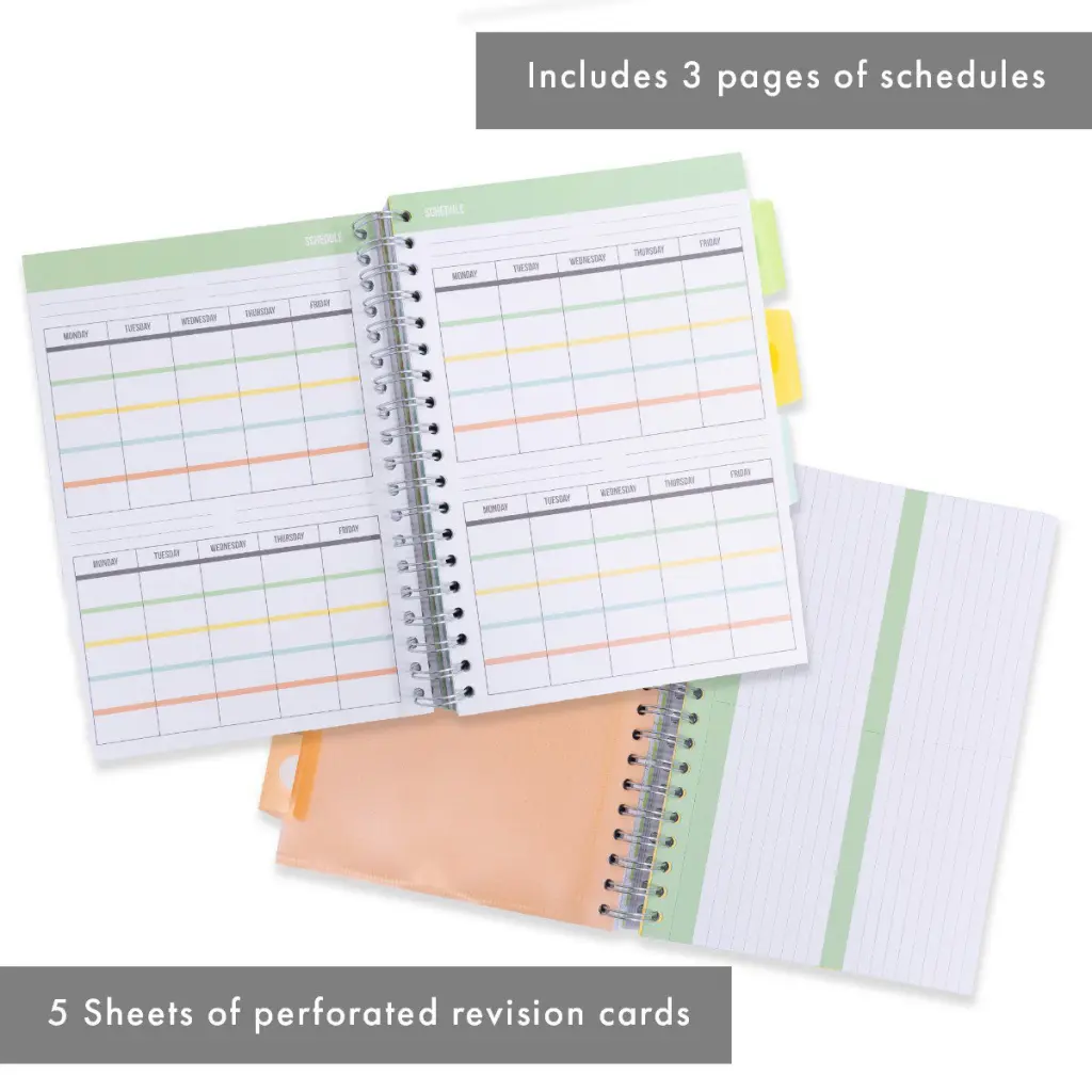 Pukka Pads Study Book B5 181 x 257mm 4 Coloured Dividers 3 Paper Types Includes Revision Cards Grey (Pack1) - 9824-STU