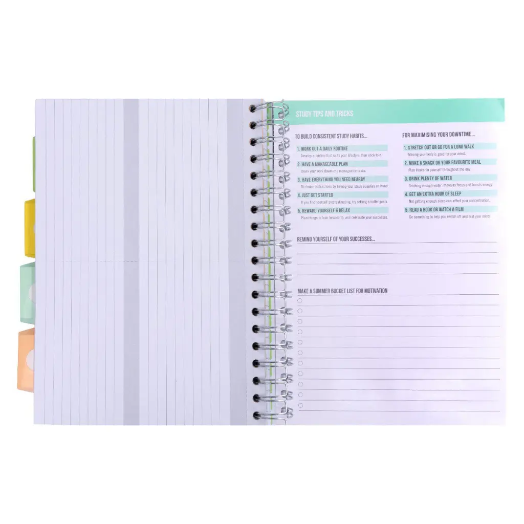 Pukka Pads Study Book B5 181 x 257mm 4 Coloured Dividers 3 Paper Types Includes Revision Cards Grey (Pack1) - 9824-STU