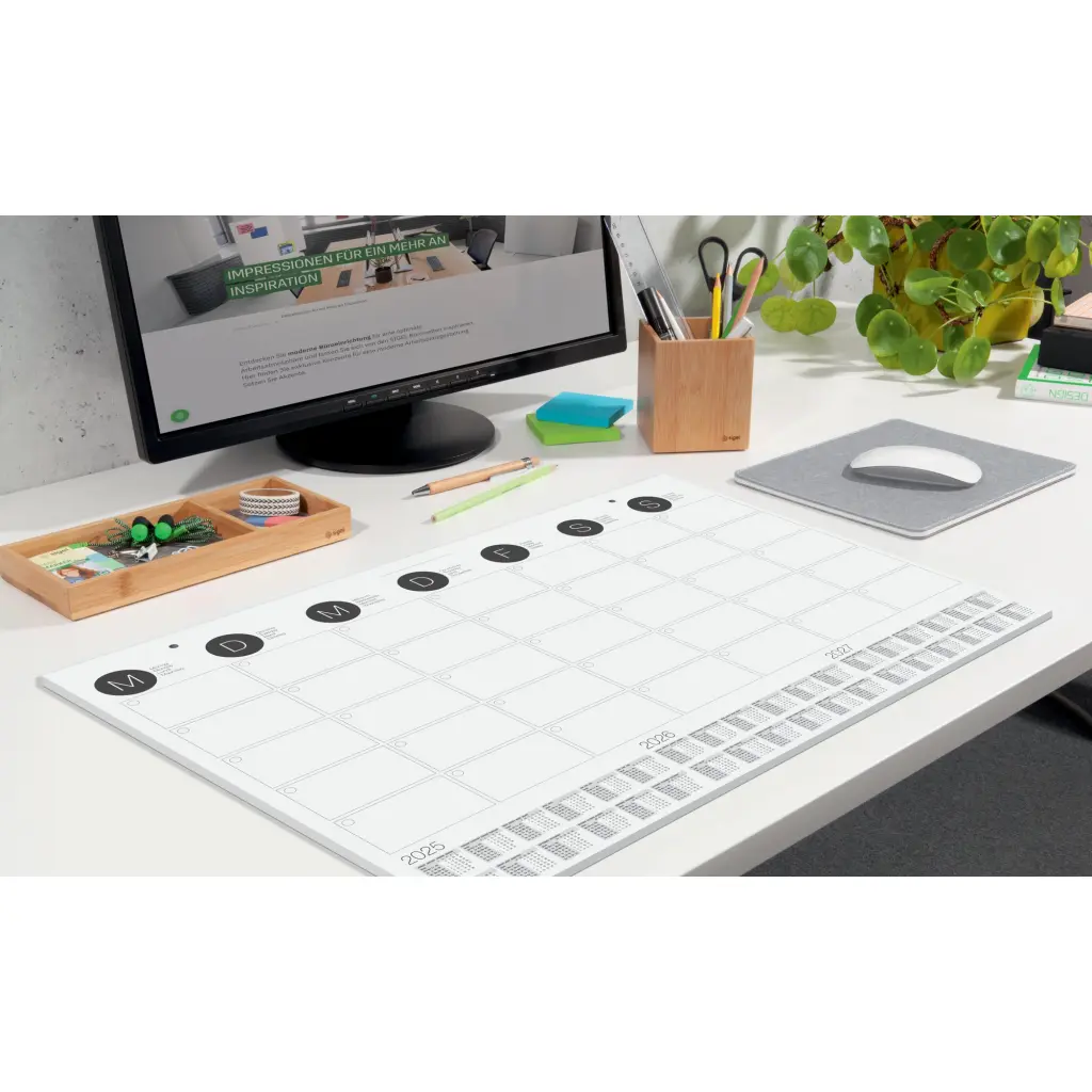 Desk Pad Wall Calendar Monthly Planner with 3 Year Calendar 595 x 410mm 120gsm 12 Sheets - HO550