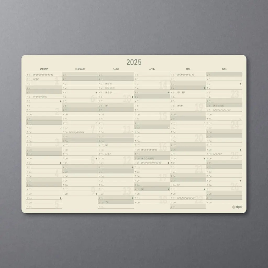 Conceptumm Appointment Diary 2025 A4+ Day Per Page Vertical Layout Hardcover Softwave Surface 225x315x20mm Black