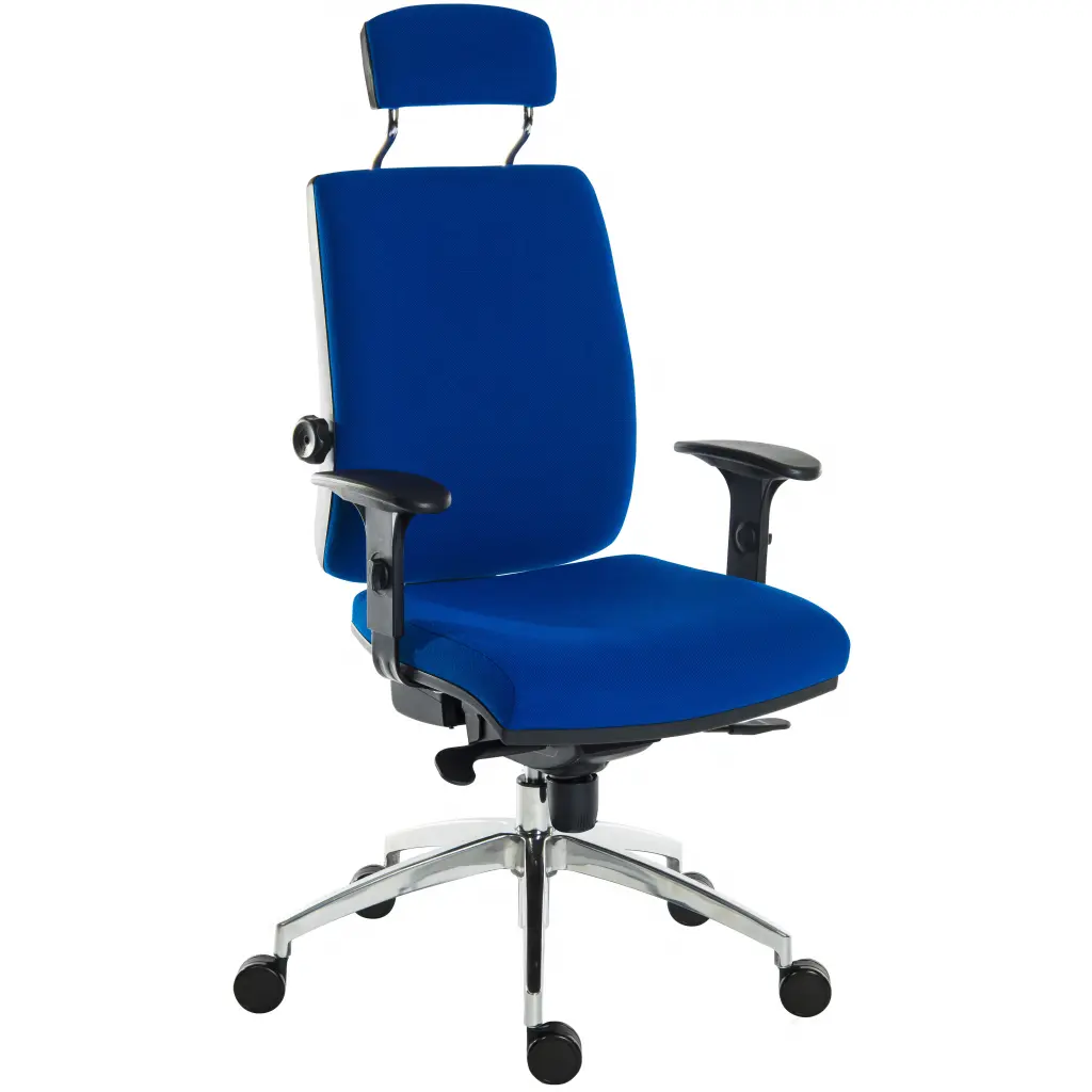 Teknik Office Ergo Plus Ergonomic Executive Operator Office Chair With Headrest and Premier Base Blue - Certified For 24 Hour Use - 9700BLU/R530