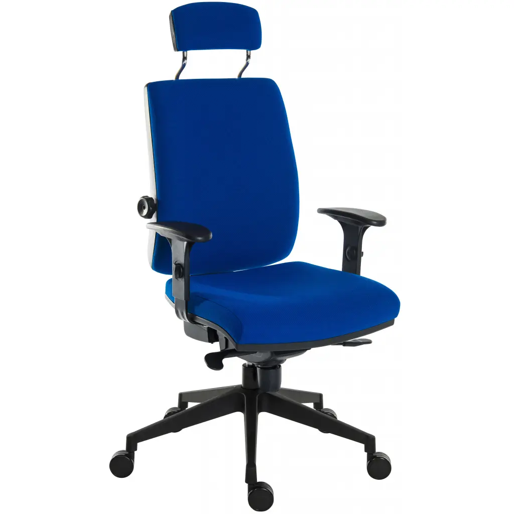 Teknik Office Ergo Plus Ergonomic Executive Operator Office Chair With Headrest and Ultra Base Blue - Certified For 24 Hour Use - 9700BLU/R520