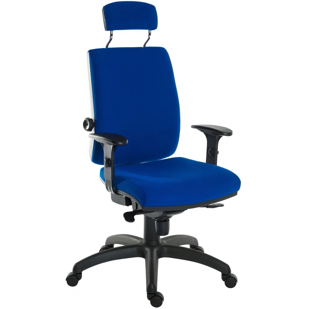 Teknik Office Ergo Plus Ergonomic Executive Operator Office Chair With Headrest Blue - Certified For 24 Hour Use - 9700BLU/R510