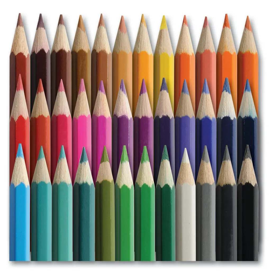 Classmaster Colouring Pencils in 12 Assorted Colours (Pack 36) - CPW36