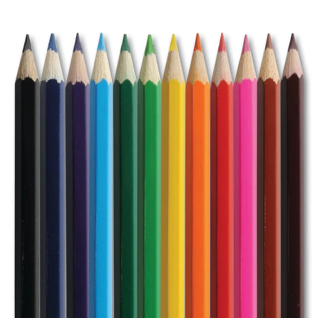 Classmaster Colouring Pencils in Assorted Colours (Pack 12) - CPW12