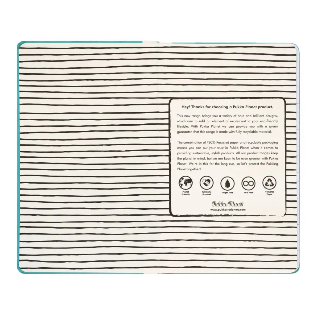 Pukka Planet Casebound Notebook 134 x 215mm 192 8mm Ruled 90gsm Pages There Is No Planet B - 9703-SPP