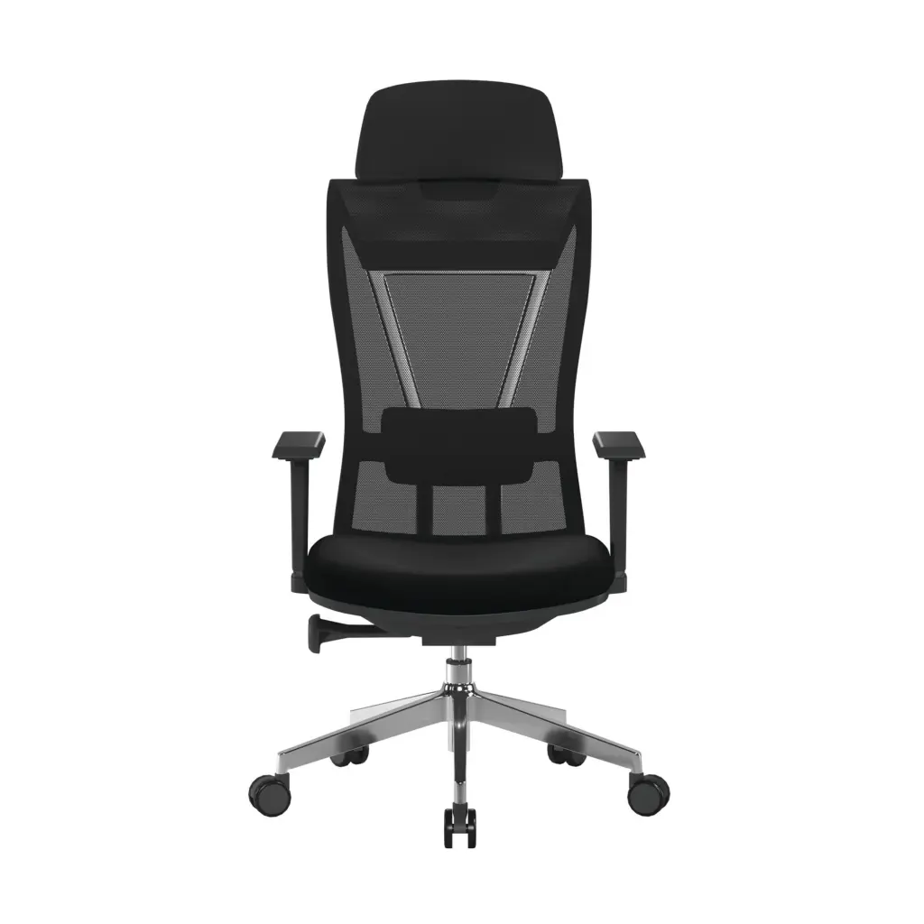 Nautilus Designs Moritz High Back Mesh Ergonomic Executive Chair With Adjustable Arms & Headrest Black - Certified for 24 Hour Use - BCM/M355/BK