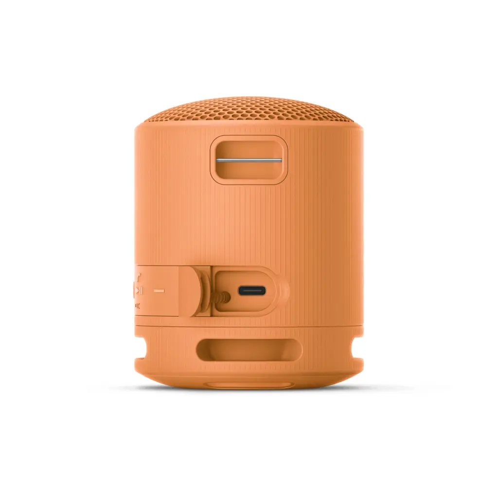 Sony SRS-XB100 Wireless Bluetooth Orange Portable Speaker