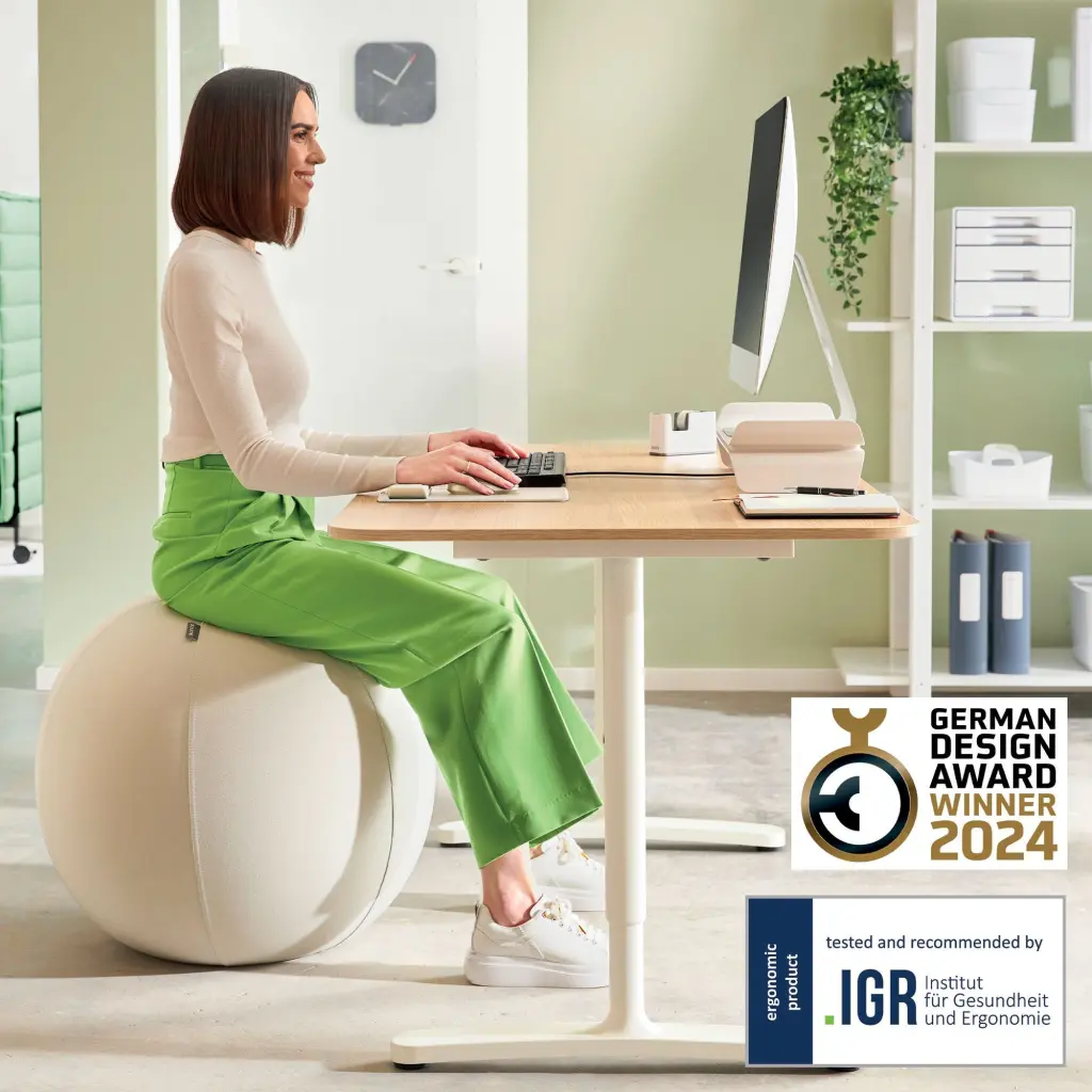 Leitz Ergo Active Sitting Ball 75cm Anti-Roll-Away Light Grey - 65430085
