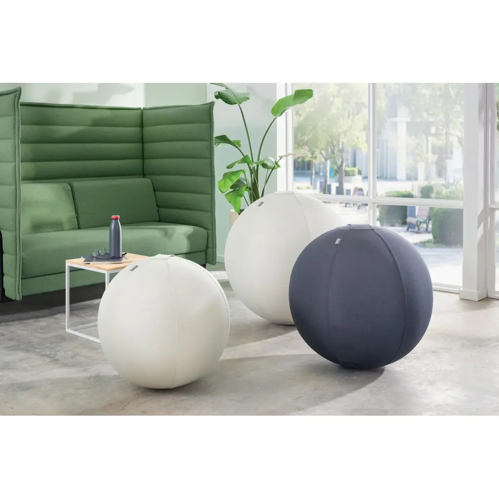 Leitz Ergo Active Sitting Ball 75cm Anti-Roll-Away Light Grey - 65430085