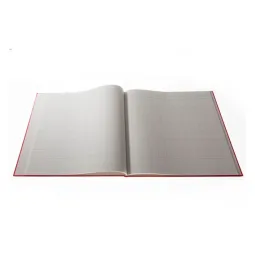 Collins Analysis Book 150/21.1 21 Cash Column 96 Pages Red 811253