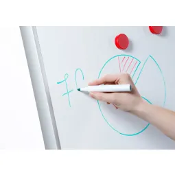Dahle Flip-Chart PROFESSIONAL with Tripod