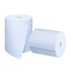 2 Ply 250mm x 40m Blue Hygiene Roll 24 Rolls