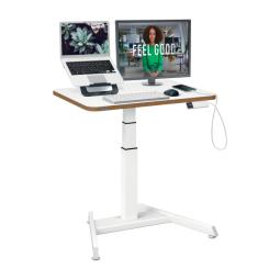 Leitz Ergo Small Electric Sit Standing Desk with Stand-Up Reminder