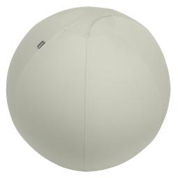 Leitz Ergo Active Sitting Ball 75cm Diameter Grey 65430085