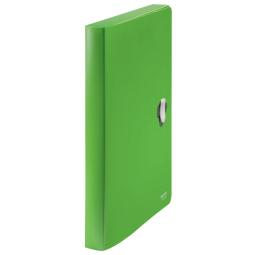 Leitz Recycle Box File Green Pack of 5