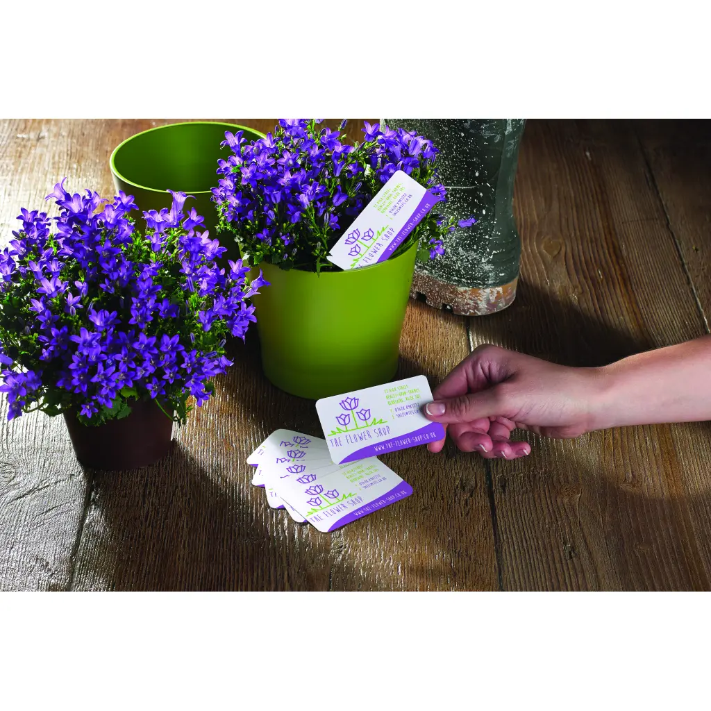 Avery Business Cards 85mm x 54mm Inkjet Prints on Both Sides 80 Cards / 10 Sheets - C32015-10