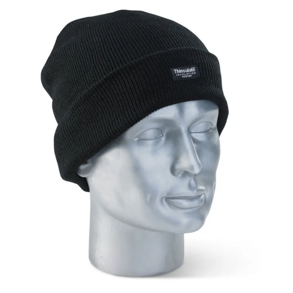 Beeswift Thinsulate Hat Black 