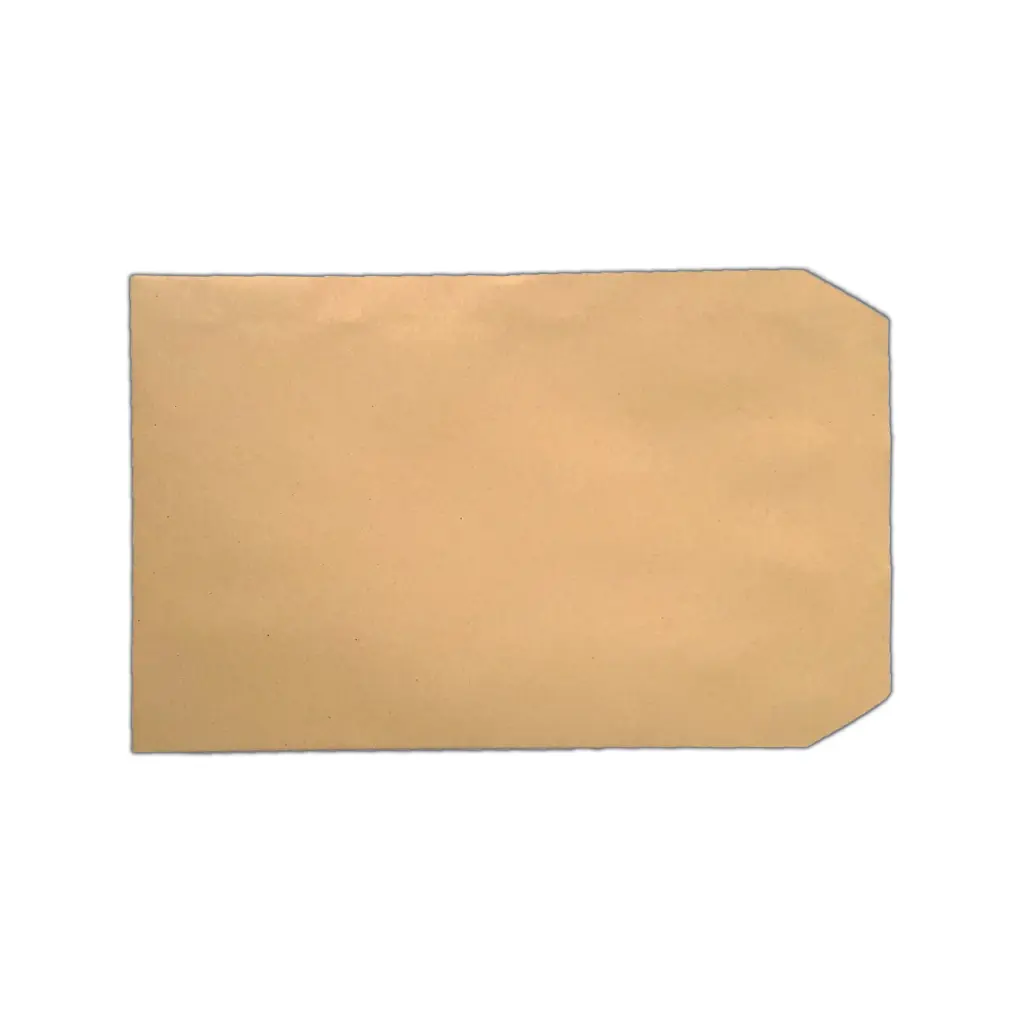 C5 Envelopes Plain Self Seal 80gsm Manilla (Pack of 500)