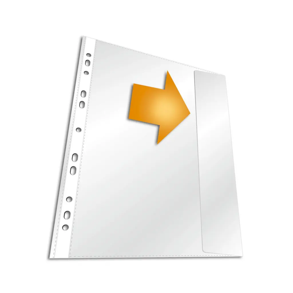 Durable BUSINESS Flap Punched Pocket (5)