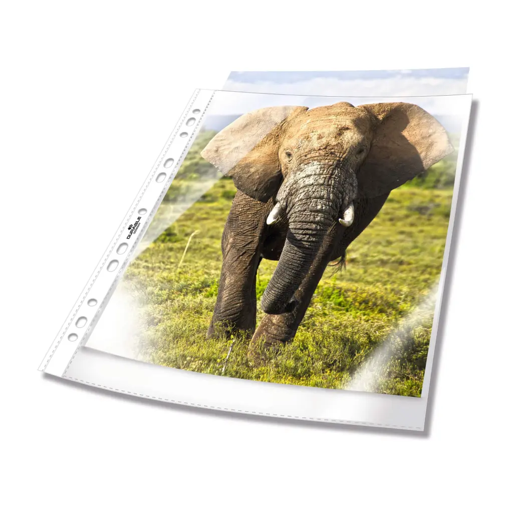 Durable BUSINESS Punched Pocket 100 (100)