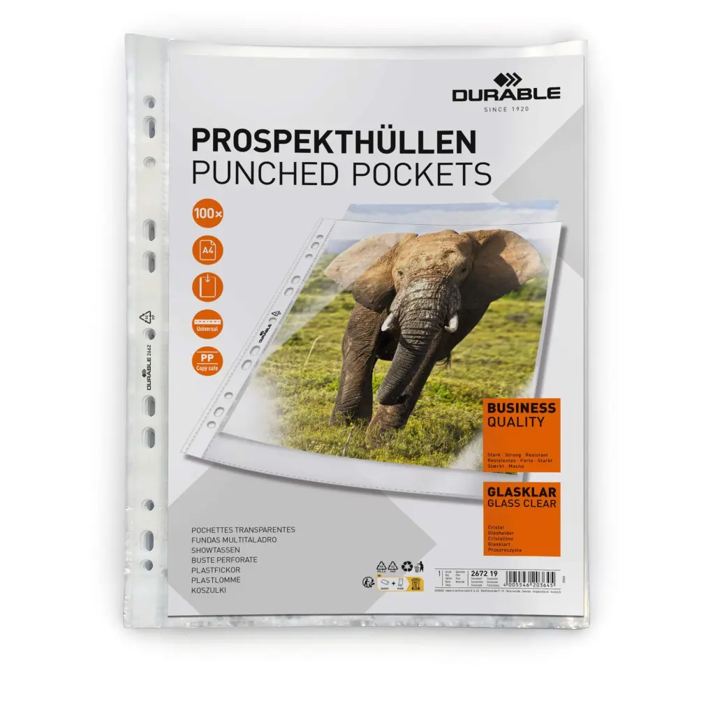 Durable BUSINESS Punched Pocket 100 A4 (100)