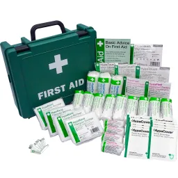 Economy Workplace First Aid Kit (11-20 Person) HSE Compliant