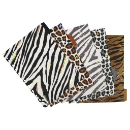 Pukka Pad Wild A4 5 Part Dividers 