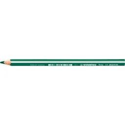 Stabilo Trio Thick Truangular Coloured Pencils - Pack of 12