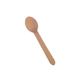 Birchwood Dessert Spoons Pack of 100