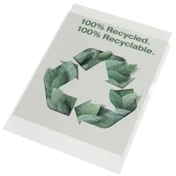 Esselte 100% Recycled Folder A4 (1 Pack of 100)