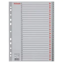 Esselte Index  1-31 Pack of 10 PP A4 