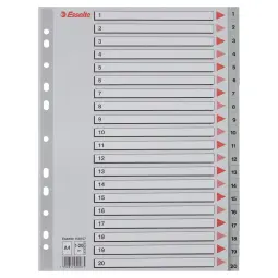 Esselte Index Numbered 1-20 Pack of 20  PP A4