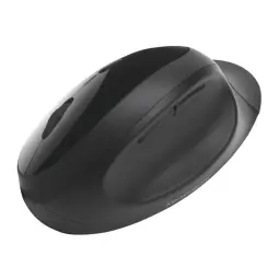 Kensington Pro Fit® Ergo Wireless Mouse Black