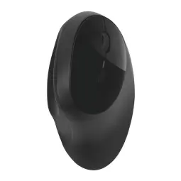Kensington Pro Fit® Ergo Wireless Mouse Black