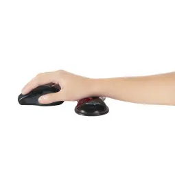 Kensington Slim Duo Gel Mouse/Trackball Wrist Rest